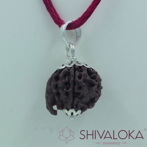 Natural Ganesh Rudraksha Silver Pendant Nepal origin