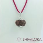 11,12,13,14 Mukhi Rudraksha Silver Pendant Nepal origin