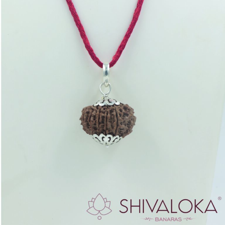 11,12,13,14 Mukhi Rudraksha Silver Pendant Nepal origin
