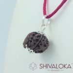 13 Mukhi Rudraksha Silver Pendant Nepal origin - Image 2