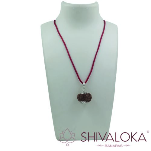 11, 12, 13, 14 Mukhi Rudraksha Silver Pendant - Necklace
