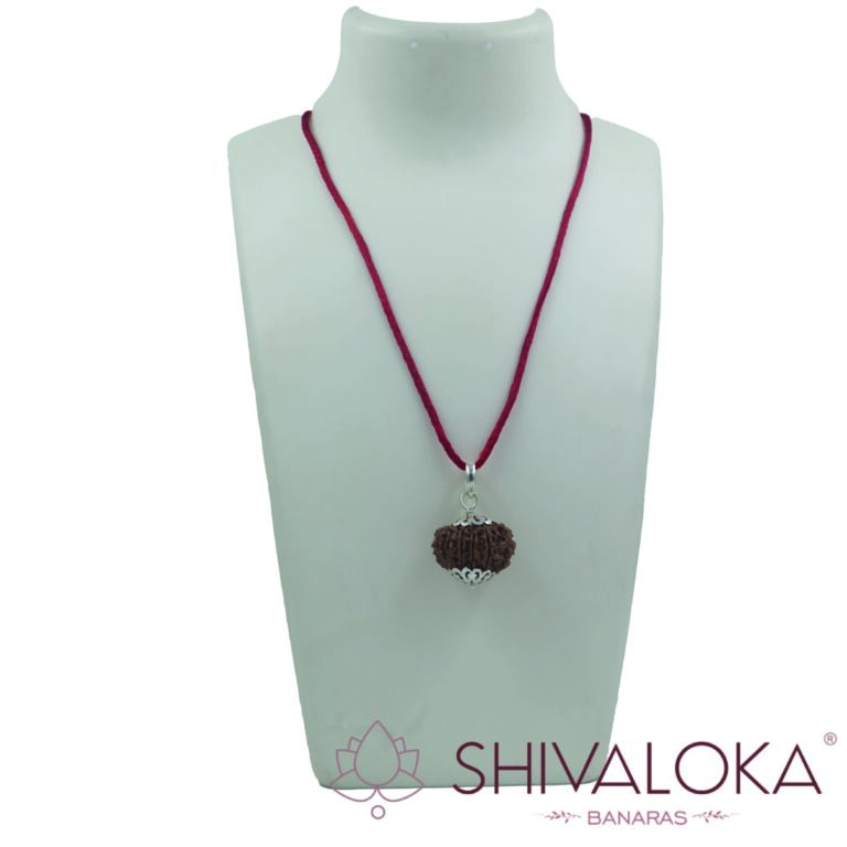 11, 12, 13, 14 Mukhi Rudraksha Silver Pendant - Necklace