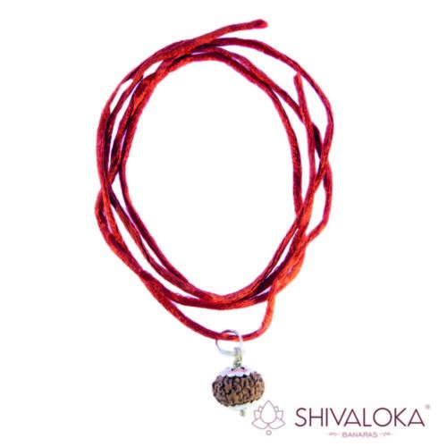 5 Mukhi Rudraksha