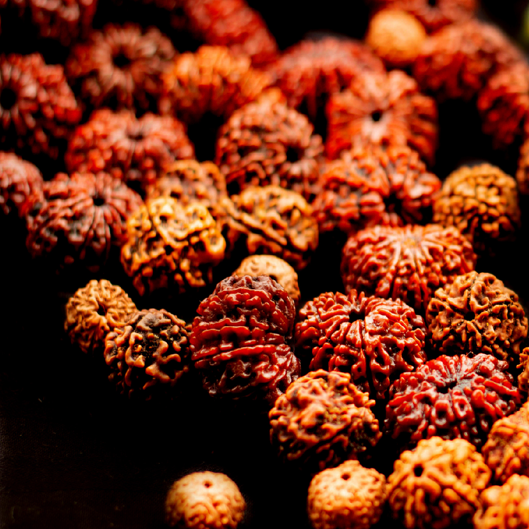 Buy rudraksha in Varanasi