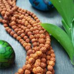 5 Mukhi Rudraksha Varanasi