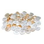 Natural Gomti Chakra | 21 Pieces- 1 cm