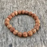 Natural 5 Mukhi Rudraksha Bracelet | 8.00 mm Bead Size | Stretcheble