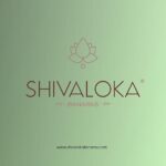SHIVALOKA 5 Mukhi Rudraksha Bracelet | Five-Faced Rudraksha Beads | Natural and Original | 8.00 mm Bead Size | Stretchable | Free Size | - Image 5