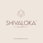 SHIVALOKA Karungali Bracelet Silver Cap | Natural and Original | Certified | 8.00 mm Bead Size | Adjustable S Hook | Free Size | - Image 6