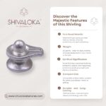 SHIVALOKA Parad Shivling Original | 30g | 2cm | for Home Puja & Meditation - Image 2
