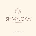 Shivaloka Natural Gomti Chakra | Set of 11 Pieces | Ideal for Puja Offerings & Attracting Luck - Image 5