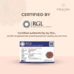 SHIVALOKA 10 Mukhi Rudraksha Original Certified | Nepal Origin Premium Bead (Ten Face) | (with Laboratory Report). - Image 5