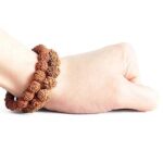 SHIVALOKA 5 Mukhi Rudraksha Bracelet Combo of 2 | Five Faced Rudraksha Beads | Natural and Original | 8.00 mm Bead Size | Stretchable | Free Size | - Image 2