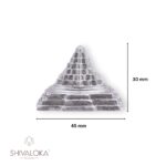 SHIVALOKA Parad Shree Yantra Original | 80g | for Home Puja, Prosperity & Financial Success - Image 4