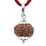 SHIVALOKA 9 Mukhi Rudraksha Original Certified Silver Pendant 15 mm size (Nine Face) (with Laboratory Report).