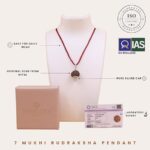 SHIVALOKA 7 Mukhi Rudraksha Original Certified Silver Pendant | 18-20 mm size | Seven Face Nepal Origin | Laboratory Report | - Image 4