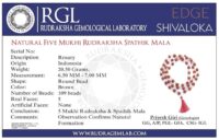SHIVALOKA Rudraksha Sphatik Mala for regular wear and japa | 108+1 beads | - Image 3