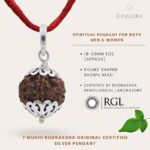 SHIVALOKA 7 Mukhi Rudraksha Original Certified Silver Pendant | 18-20 mm size | Seven Face Nepal Origin | Laboratory Report | - Image 2