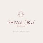 SHIVALOKA Parad Shivling Original | 120g | 3.7cm | for Home Puja & Meditation - Image 6