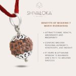 SHIVALOKA 7 Mukhi Rudraksha Original Certified Silver Pendant | 18-20 mm size | Seven Face Nepal Origin | Laboratory Report | - Image 3
