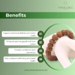 SHIVALOKA 5 Mukhi Rudraksha Bracelet | Five-Faced Rudraksha Beads | Natural and Original | 8.00 mm Bead Size | Stretchable | Free Size | - Image 3