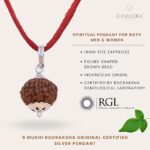 SHIVALOKA 9 Mukhi Rudraksha Original Certified Silver Pendant 15 mm size (Nine Face) (with Laboratory Report). - Image 2