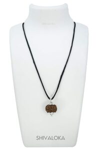 SHIVALOKA 4 Mukhi Rudraksha Original Silver Plated Pendant | 15.00-18.00 mm size | Four Face Nepal Origin | - Image 2