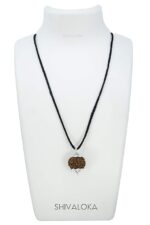 SHIVALOKA 5 Mukhi Rudraksha Original Silver Plated Pendant | 15.00-18.00 mm size | Five Face Nepal Origin |  Bullet Point - Image 2