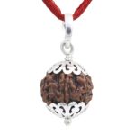 SHIVALOKA 5 Mukhi Rudraksha Original Certified Silver Pendant | 20 mm size | Five Face Nepal Origin | Laboratory Report |