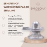 SHIVALOKA Parad Shivling Original | 30g | 2cm | for Home Puja & Meditation - Image 4
