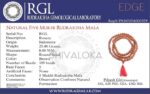 SHIVALOKA Rudraksha Mala Lab Certified for regular wear and Japa | Size 8.00 mm,108+1 beads | One Brown Rudraksha Mala - Image 2