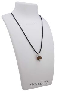 SHIVALOKA 10 Mukhi Rudraksha Original Certified Silver Plated Pendant | 15.00-18.00 mm size | Ten Face Indonesia Origin | Laboratory Report - Image 2