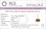 SHIVALOKA 8 Mukhi Rudraksha Original Certified Silver Pendant 15 mm size (Eight Face) (with Laboratory Report). - Image 5