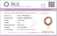 SHIVALOKA 5 Mukhi Premium Rudraksha Mala (Five Face) Original Certified Indonesia Origin 108+1 Brown Beads 6.50 mm size For (with Laboratory Report). - Image 3
