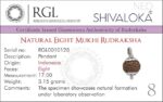 SHIVALOKA 8 Mukhi Rudraksha Certified Silver Plated Pendant | 15.00-18.00 mm size | Eight Face Indonesia Origin | Laboratory Report - Image 3