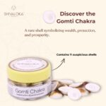 Shivaloka Natural Gomti Chakra | Set of 11 Pieces | Ideal for Puja Offerings & Attracting Luck - Image 2