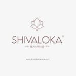 SHIVALOKA Lava Stone Bracelet | Natural and Original | Certified | 8.00 mm Bead Size | Strechable | Free Size | - Image 6