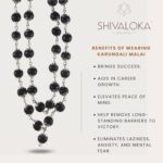 Karungali Malai Original 100% Natural Unpolished Silver Capped | Karungali Malai 8mm - Natural Black Ebony | கருங்காலி மாலை | 54 Beads - Image 2