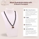 SHIVALOKA 5 Mukhi Rudraksha Mala (Black) 108 Beads With 8 Mukhi (Eight Face) Rudraksha Pendant | Pure Silver | 15.00 mm Size | Nepal Origin | - Image 2