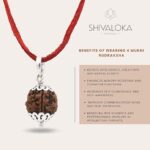 SHIVALOKA 4 Mukhi Rudraksha Original Certified Silver Pendant | 18-20 mm size | Four Face Nepal Origin | Laboratory Report | - Image 4