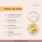 Shivaloka Natural Yellow Cowrie Shells Original | Set of 11 Pieces | PILI Kowdi | Ideal for Puja Offerings - Image 4