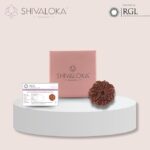 SHIVALOKA 7 Mukhi Rudraksha Original Certified Nepal Origin Brown Bead 15-18 mm Size (Seven Face) (with Laboratory Report). - Image 4