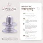 SHIVALOKA Parad Shivling Original | 230g | 4.5cm | for Home Puja & Meditation - Image 4