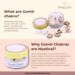 Shivaloka Natural Gomti Chakra | Set of 11 Pieces | Ideal for Puja Offerings & Attracting Luck