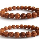 SHIVALOKA 5 Mukhi Rudraksha Bracelet Combo of 2 | Five Faced Rudraksha Beads | Natural and Original | 8.00 mm Bead Size | Stretchable | Free Size |