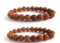 SHIVALOKA 5 Mukhi Rudraksha Bracelet Combo of 2 | Five Faced Rudraksha Beads | Natural and Original | 8.00 mm Bead Size | Stretchable | Free Size |