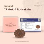 SHIVALOKA 13 Mukhi Rudraksha Original Certified | Nepal Origin Premium Bead (Thirteen Face) | (with Laboratory Report). - Image 4