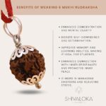 SHIVALOKA 6 Mukhi Rudraksha Certified Silver Pendant | 20 mm size | Six Face Nepal Origin | Laboratory Report | - Image 2