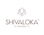 SHIVALOKA 9 Mukhi Rudraksha Original Certified Silver Plated Pendant | 15.00-18.00 mm size | Nine Face Indonesia Origin Laboratory Report - Image 3