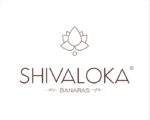SHIVALOKA Rudraksha Mala Lab Certified for regular wear and Japa | Size 8.00 mm,108+1 beads | One Brown Rudraksha Mala - Image 3